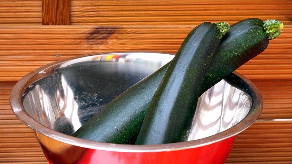 Different Varieties of Zucchini